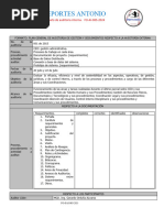 9.2 Formato de Auditoría Interna. FO-AI-085-2024