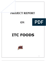 Project Report: Itc Foods