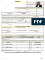 Sne Solicitud de Empleo Plantilla PDF