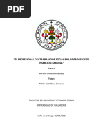 El Profesional Del Trabajador Social en Los Procesos de Insercion Laboral