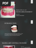 Principle of Teeth Arrangement (1) - 1