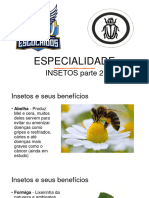 ESPECIALIDADE INSETOS Part 2 PDF