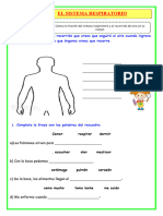 Ficha 18 Junio CT Sistema Respiratorio