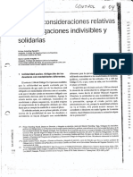 Consideraciones Relativas A Las Obligaciones Indivisibles y Obligatorias