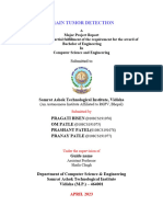 Final Major Project Report