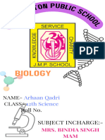 Biology Holiday Homework