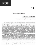 Articulo Tuberculosis