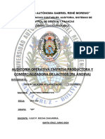 Legajo de Auditoria Operativa 19-06-2024