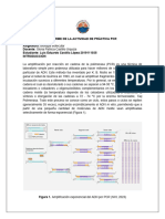 Laboratorio Taller PCR - Electroforesis 2024