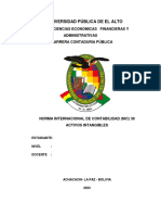 Informe NIC 38 Cont. Inter. 2023 UPEA - 055004