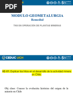 Remedial Geometalurgia