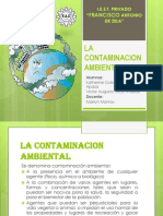 La Contaminación Ambiental