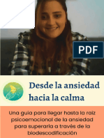 Mini Ebook Desde La Ansiedad Hacia La Calma