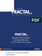 Murilo - Aula Neuroanatomia e Neurociências 1 (Pós)