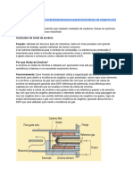 Analisador de Oxigenio de Celula de Zirconia