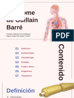 Síndrome de Guillain Barré