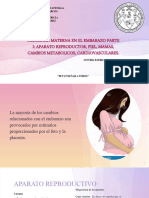 Fisiologia Materna en El Embarazo Parte I: Aparato Reproductor, Piel, Mamas, Cambios Metabolicos, Cardiovasculares