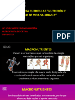 Macro y Micro Nutrientes, Distribución Calórica