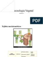 Biotecnologia Vegetal - S3