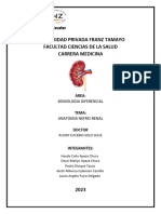 Anatomia Nefro-Renal Monografia