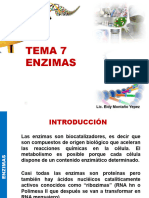 Tema 7. Enzimas Actualizado