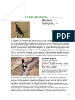 Aves de Mendoza