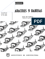 Caracoles y Babosas