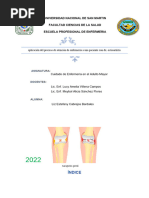 Aplicación Del Proceso de Atención de Enfermería A Una Paciente Con Osteoartritis