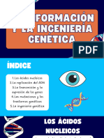 La Información y La Ingeniería Genética