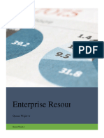 ERP Systems