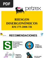 Riesgos Disergonómicos - RM 375-2008-TR (Petrex)