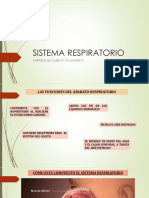 Sistema Respiratorio