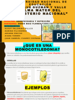 Monocotiledóneas - Dicotiledóneas