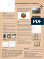 Estudio de La Comunidad de Macroinvertebrados en Olivar de Quintos-2