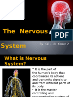 The Nervous System Psychology