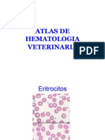 Atlas de Hematologia Veterinaria