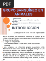 Grupo Sanguíneo en Animales