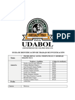 Ficha de Identificación de Trabajo de Investigación