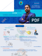 Résumé SVT 3AC 2024