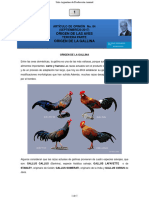 187-Origen de La Gallina