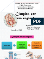 Cirugias Por Via Vaginal (Yusmary)