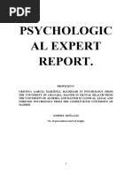 Psychological Expert Report