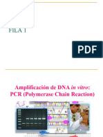 Ampliación de Adn