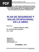 6.01 PLAN SE SEGURIDAD - SALUD OCUPACIONAL - OBRA - Version