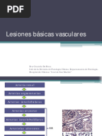 Lesiones Vasculares 2020