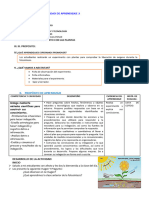 D3 A1 SESION CT. Realizamos Un Experimento Con Las Plantas.