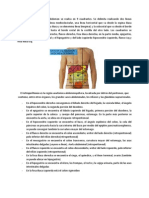 Resumen Musculos y Topografia Abdomen