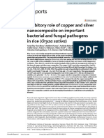 Inhibitory Role of Copper and Silver Nanocomposite On Impotant Bacterial and Ungal Pathogens of Rice