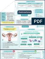 Mapa Mental - Endometriose