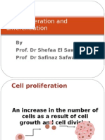 Cell Proliferation and Differentiation New